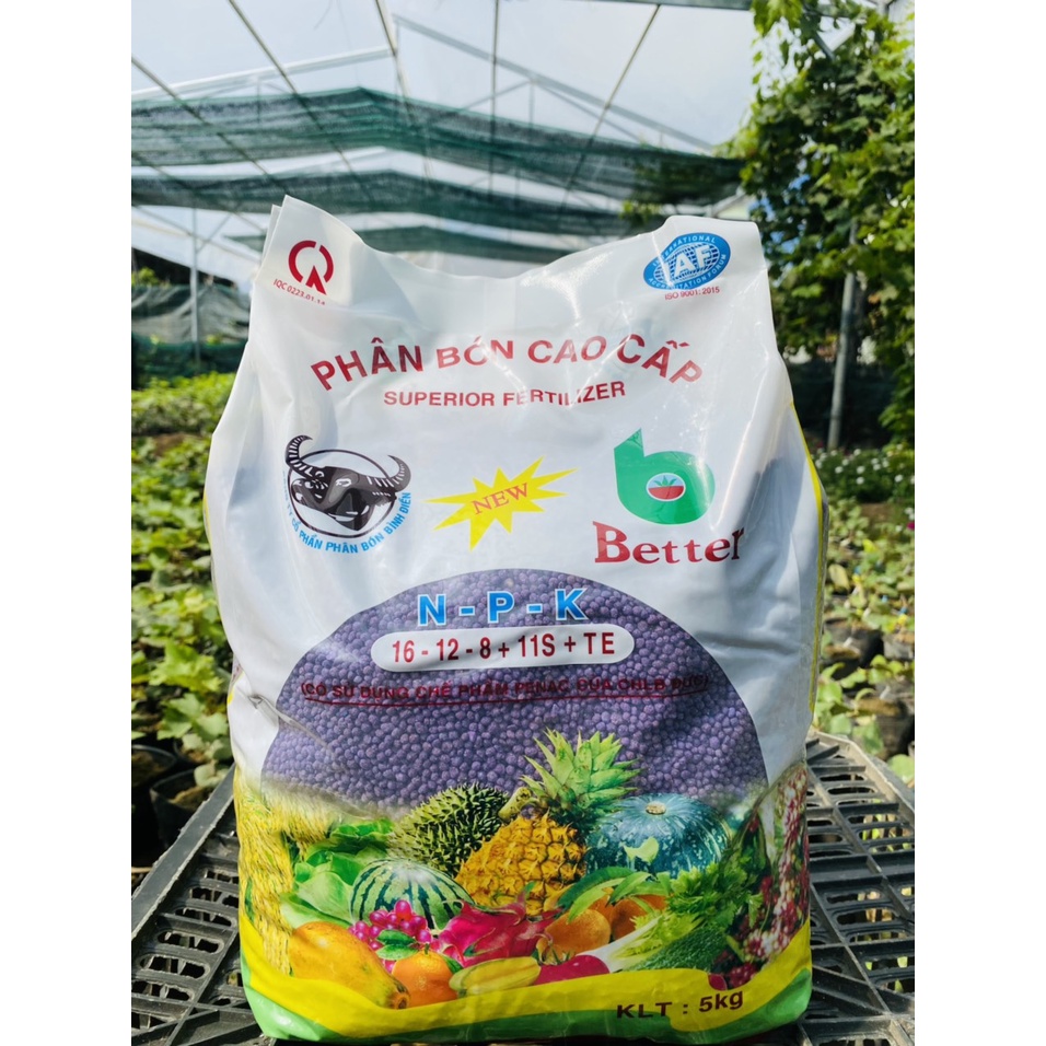 Phân bón NPK đầu trâu tím 16-12-8+11s+TE cao cấp 5kg PB11