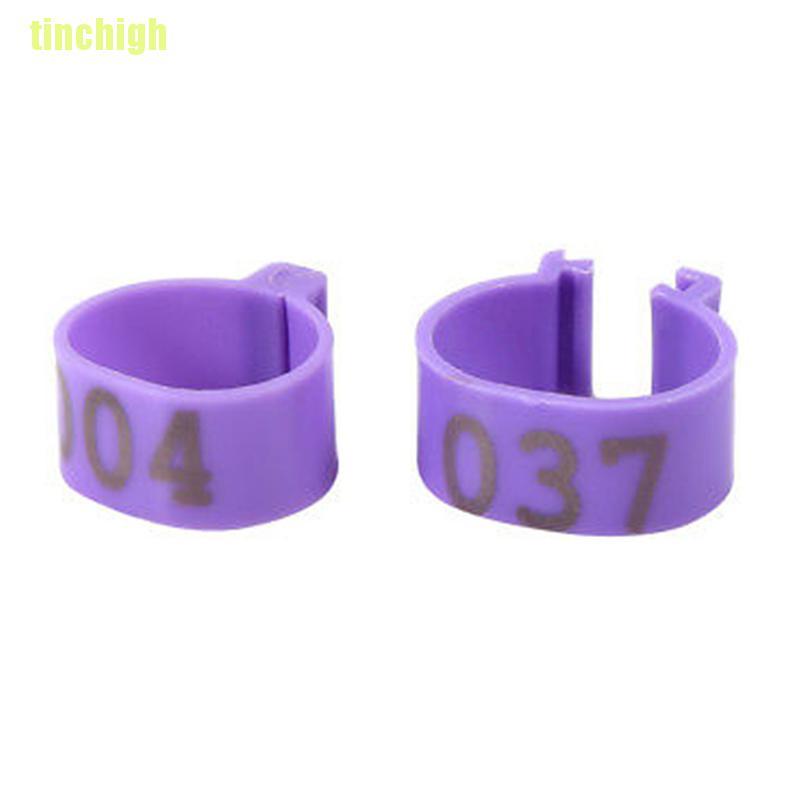 100 Vòng đeo chân 16mm cho gà/ vịt tiện dụng