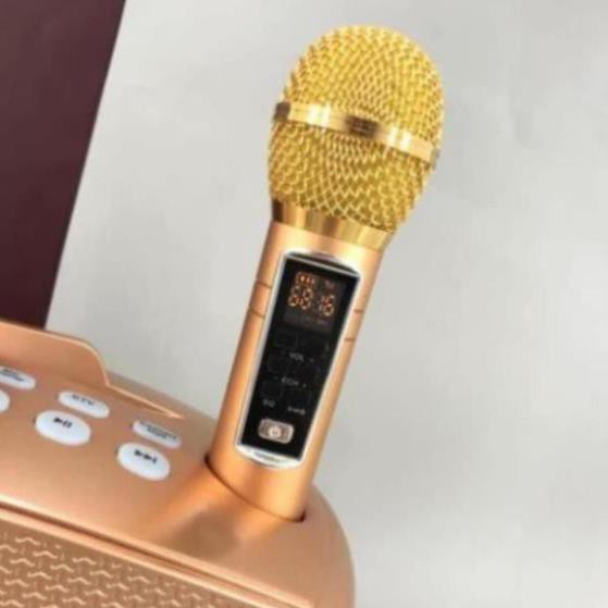 Loa karaoke bluetooth SDRD SD 306 Plus, Loa bluetooth karaoke mini kèm 2 micro hát karaoke Không dây - BH 6 tháng