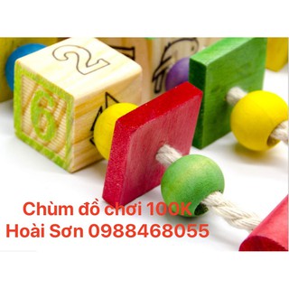 Chùm đồ chơi cho Vẹt