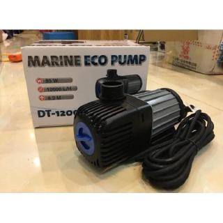 MÁY BƠM NƯỚC HỒ CÁ JECOD DT-12000