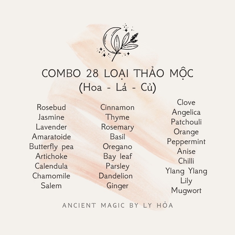 COMBO 37 LOẠI THẢO MỘC làm Spell, thực hành Witchcraft, trang trí nến thơm,... | Ancient Magic by Ly Hỏa