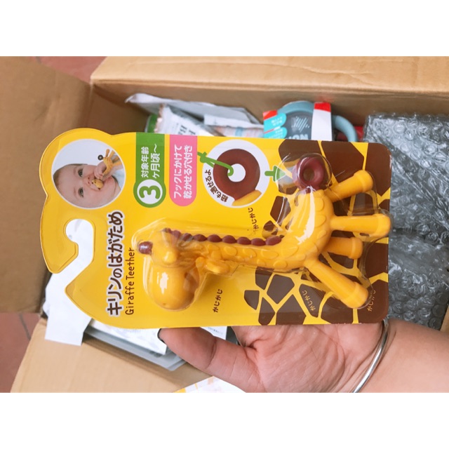 Hươu gặm nướu Nhật