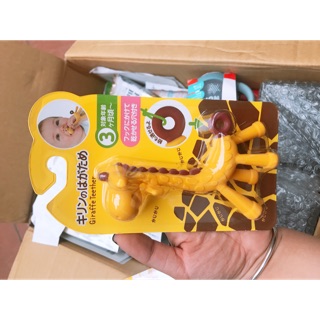 Hươu gặm nướu Nhật