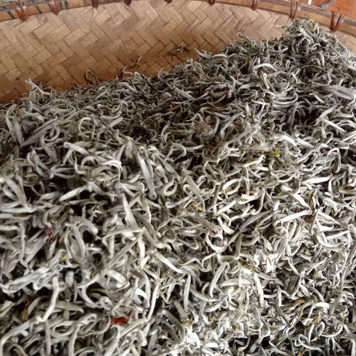 Bạch Trà Shan tuyết Hà Giang 100g
