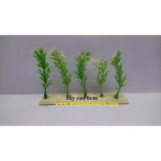 Cỏ bụi mẫu 4 (15 cây)