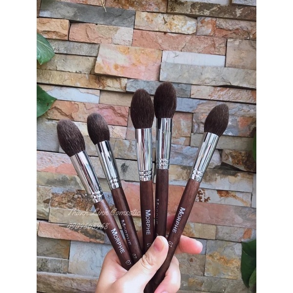 Cọ lẻ morphe