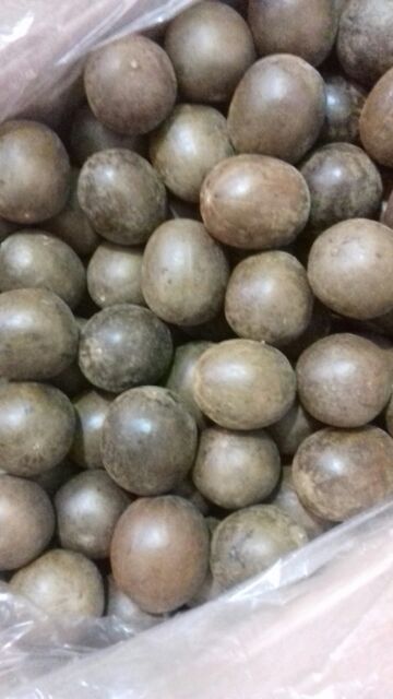 50 quả la hán to đẹp quả già ngọt nước