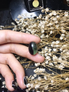 Lu thống florit sale 20-10