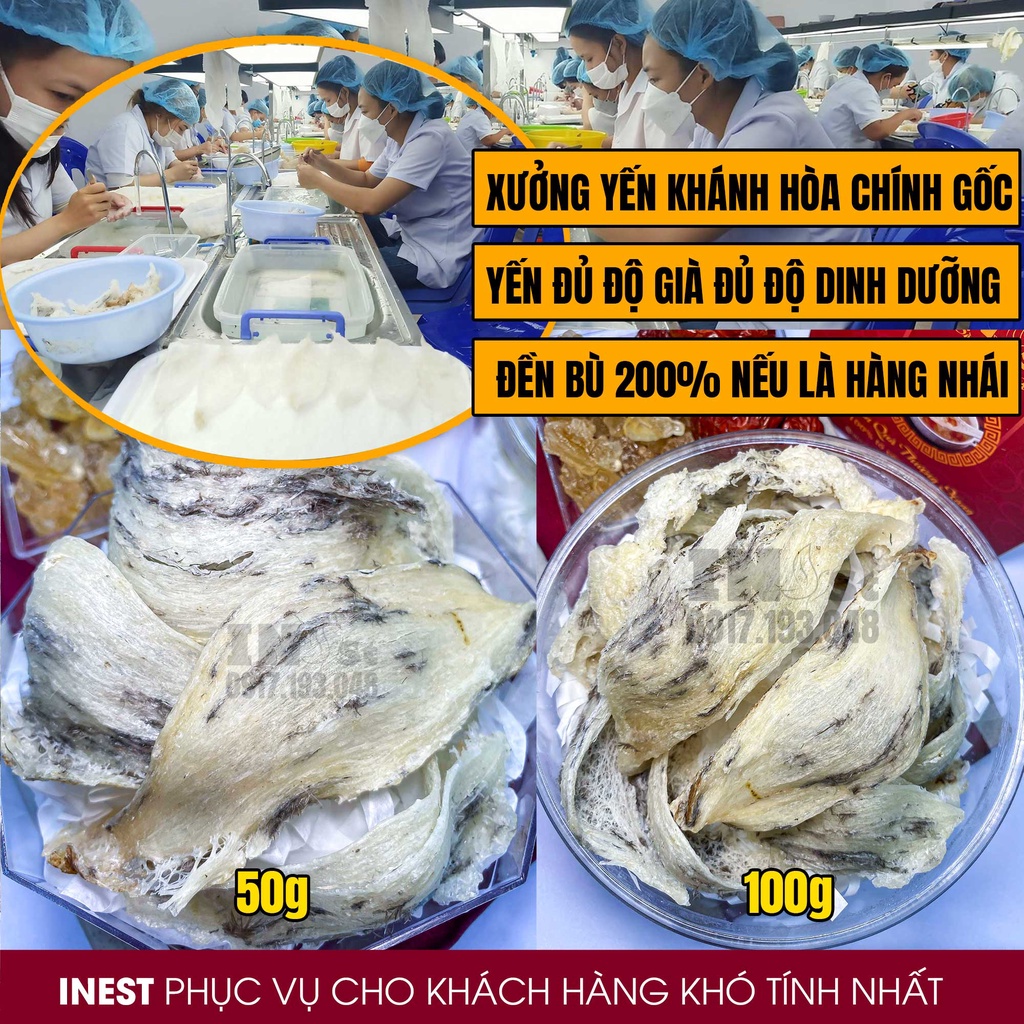 100g Tổ Yến Thô Già Ít Lông Loại 1 Yến Thô Cao Cấp  - Yến Sào Thô Khánh Hòa INest