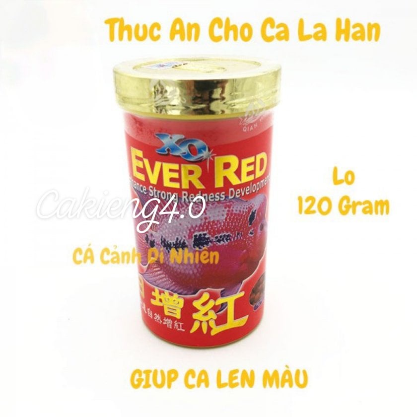 Thức ăn cá la hán XO
