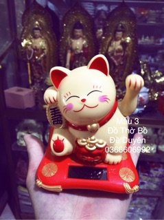 Mèo thần tài size nhỏ