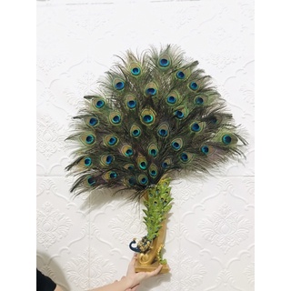 Bình Chim Công Composite Cắm Lông Công