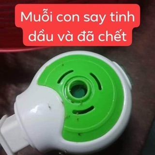 Đèn đuổi muỗi tinh dầu thiên nhiên hàn quốc