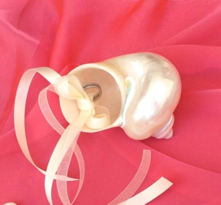 Ốc xà cừ mài