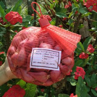 Hành tím Lý Sơn Quảng Ngãi