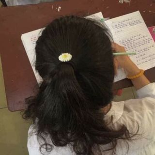Dây buộc tóc hoa cúc họa mi