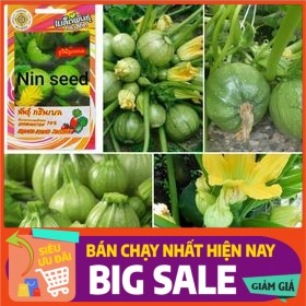 [ Hạt Giống Xanh ] Hạt Giống Bí Ngòi Tròn Baby Xanh Sai Trái - 25H