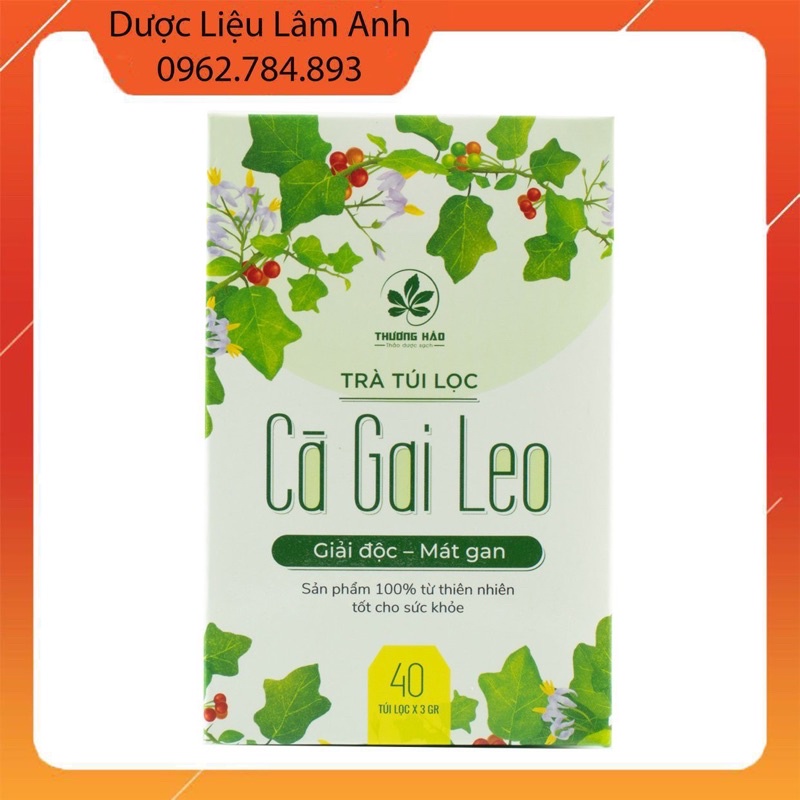 Trà túi lọc cà gai leo Hoà Bình 40 gói/hộp - có chứng nhận ATPVSTP