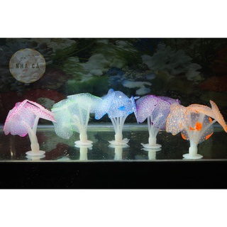 ĐỒ CHƠI HẢI QUỲ MINI DẠ QUANG- PHỤ KIỆN TRANG TRÍ HỒ CÁ – THỦY SINH