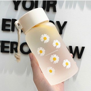 Bình nước hoa cúc, bình nước thủy tinh.