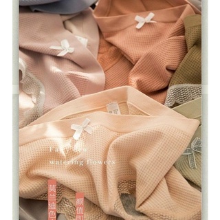 2105QC.VN - Set 5 quần chip cotton