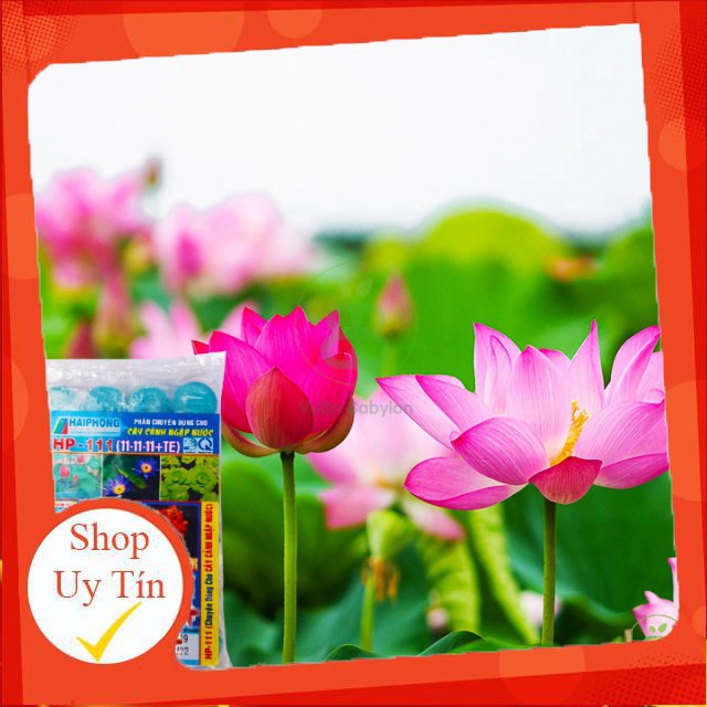 - Phân Bón Sen Súng - Phân Sen Súng - Npk - Viên Sủi - Dinh Dưỡng Cho Sen Súng - Cây Ngập Nước chất lượng.