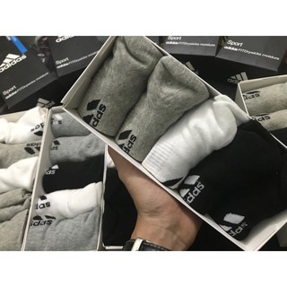 Set 5 đôi tất/vớ nam cổ ngắn