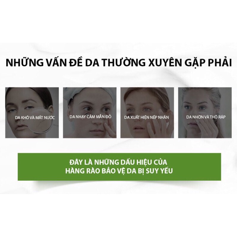 Sữa Dưỡng Ẩm Cetaphil Moisturizing Lotion Body & Face