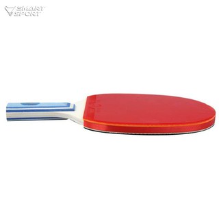 Vợt bóng bàn 729