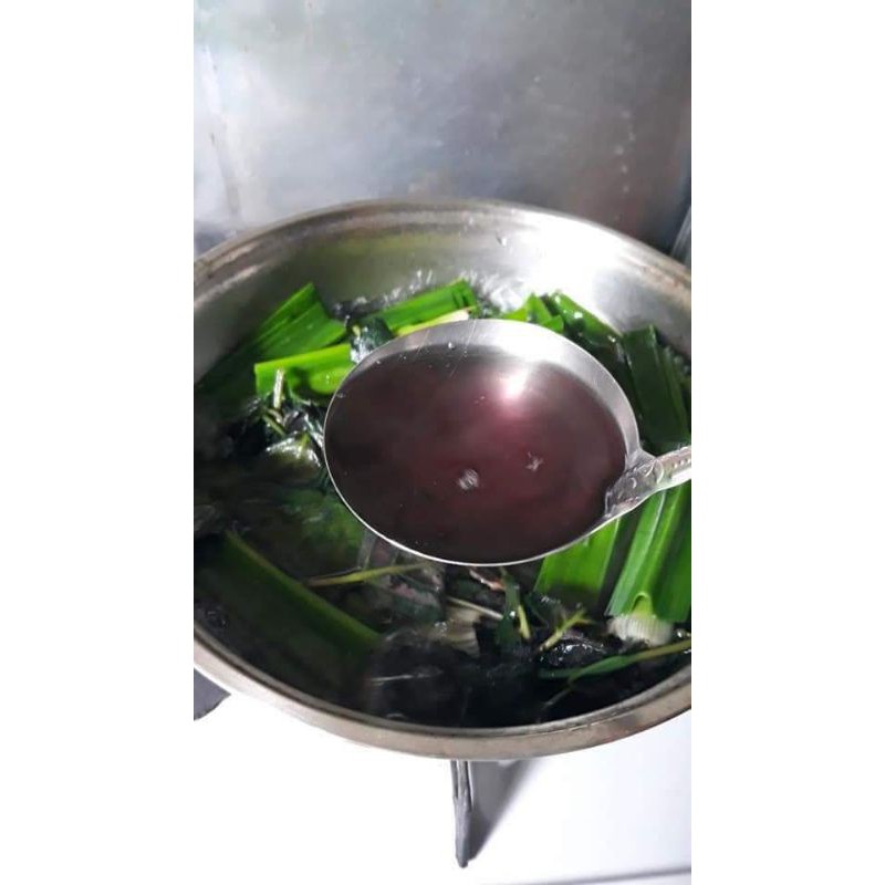 Cây trà Ô Long, trà Dr.Thanh (cây bán tự cảnh)