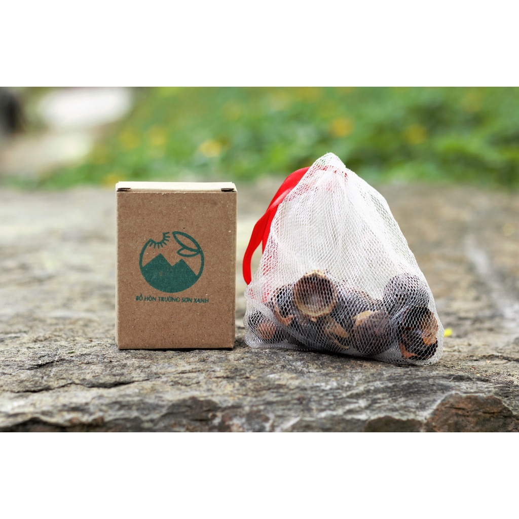 Hộp bồ hòn Trường Sơn xanh kèm túi lưới