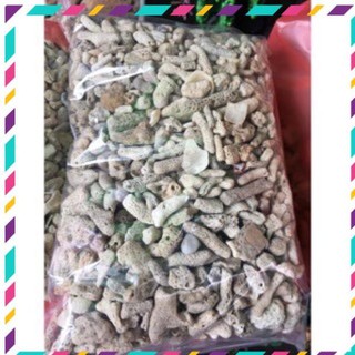 [ Rẻ ] San Hô Vụn 1Kg - Vật Liệu lọc cho hồ cá bể cá thuỷ sinh - trang trí và lọc nước rất tốt
