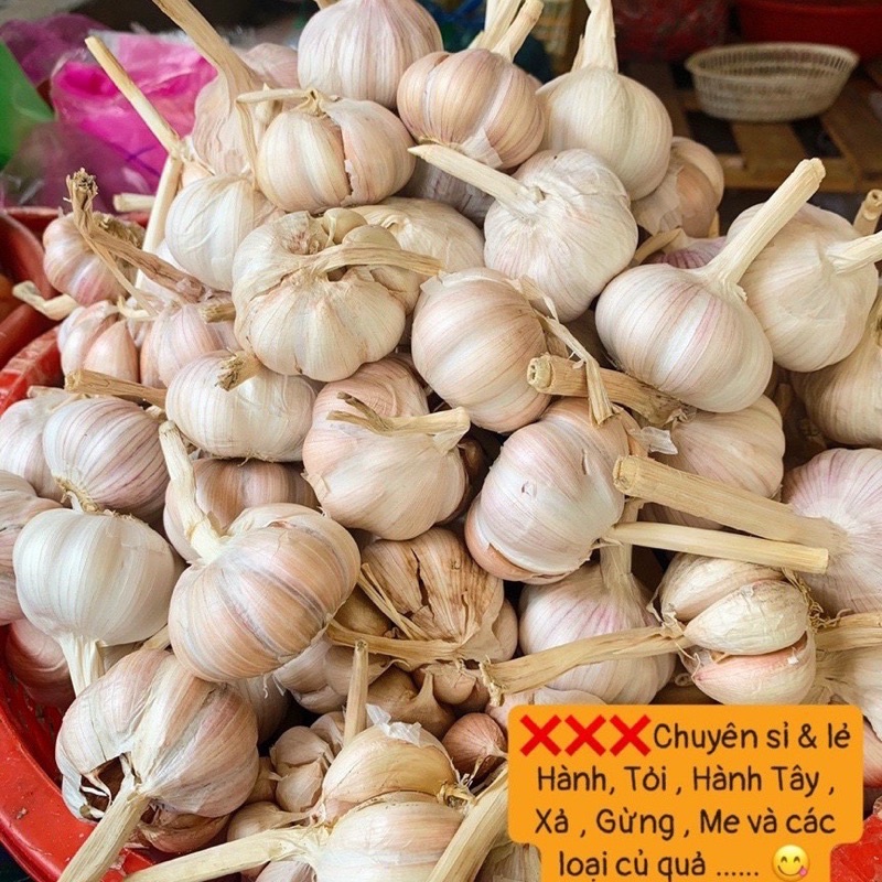 Tỏi ta củ bự hàng loại 1 thơm ngon 1kg