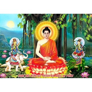 Tranh thêu chữ thập 3D Đức Phật ngồi Bồ đề LV3519 (67x48cm)