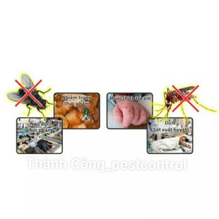 Thuốc diệt ruồi muỗi kiến gián Sumithrin 10SEC