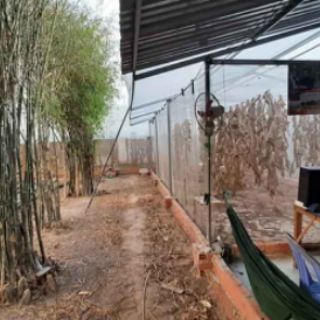 Lồng nuôi cào cào 3x2x2