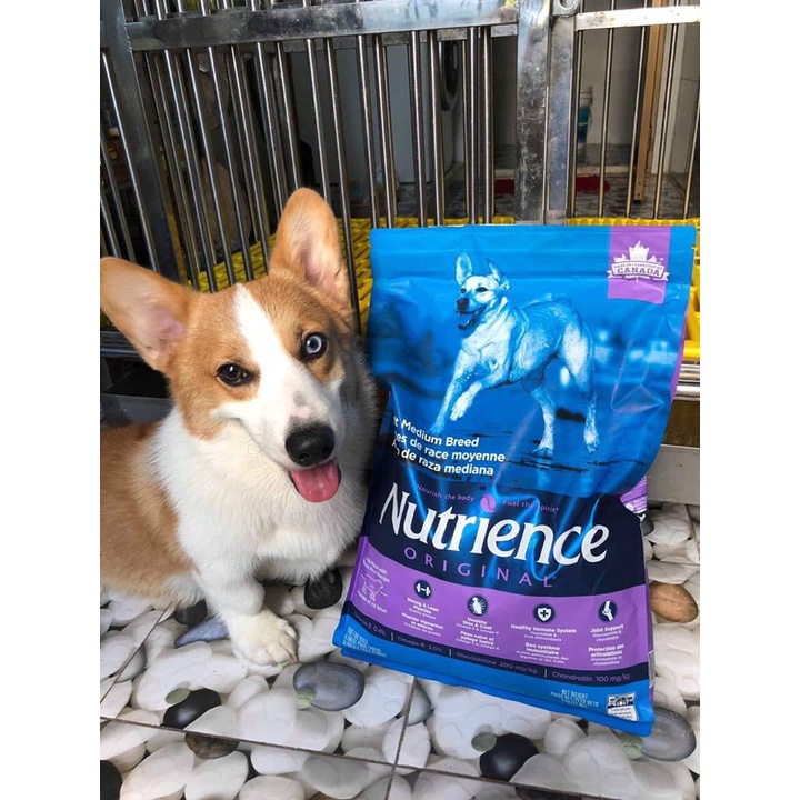 Thức Ăn Cho Chó Rottweiler Nutrience Infusion Bao 5kg Hỗ Trợ Xương Cơ Khớp - Thịt Cừu, Rau Củ, Trái Cây