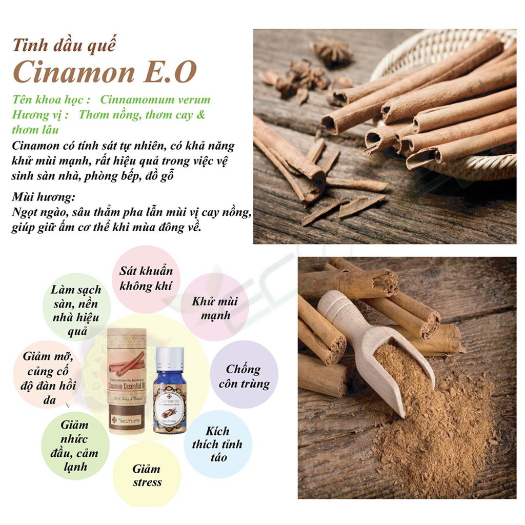 Tinh dầu vỏ quế ECOLIFE – Cinamon Essential Oil