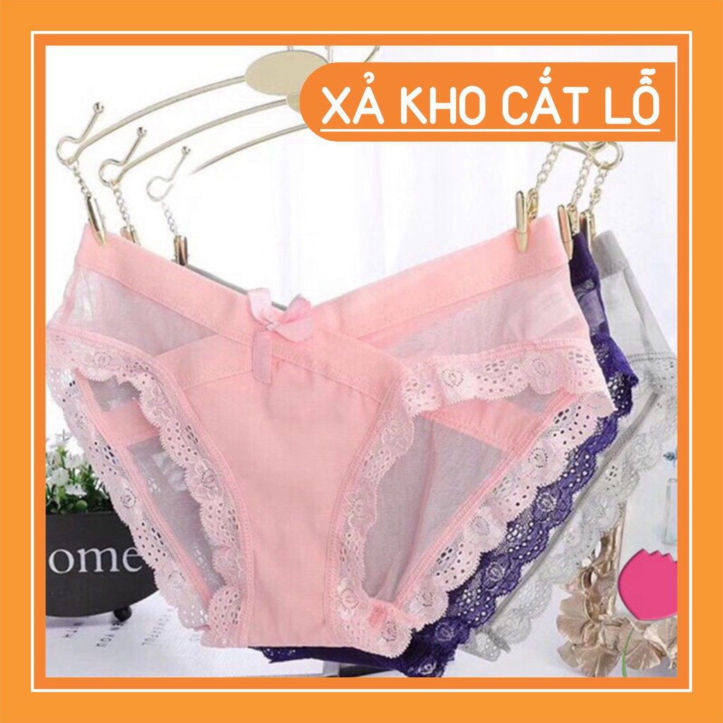 Sỉ Quần Lót Ren Nữ Cạp Chéo Sexy Gợi Cảm S15 Rẻ Nhất Thị Trường