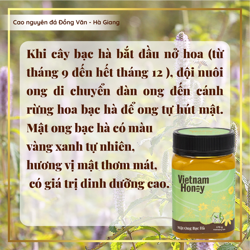 Combo 3 hũ mật ong hoa bạc hà Vietnam Honey giá tiết kiệm (3 x 470gram)