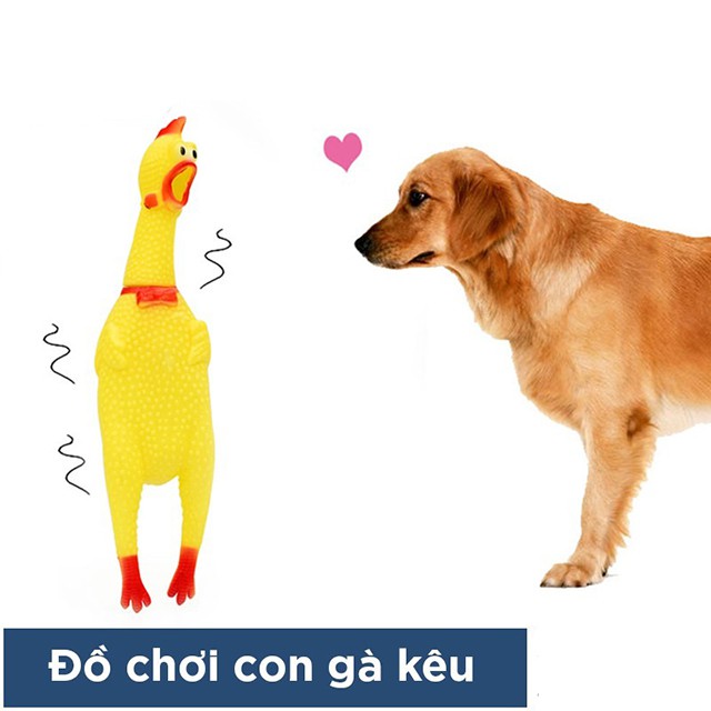 Đồ Chơi Cho Chó Mèo Gặm Hình Con Gà Nhựa Mới Nở Kêu Ò Ó O Chống Ngứa Răng - Bobo Pet Shop Hà Nội