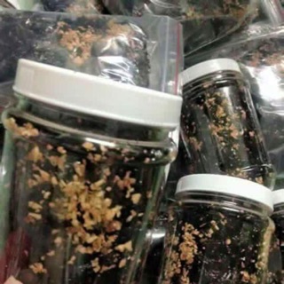 Combo 10 hũ rong biển cháy muối tỏi hũ 60gr luôn hũ