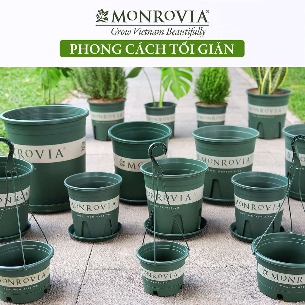 Combo 3 chậu trồng cây MONROVIA 4 Gallon cho cây cảnh, hoa để bàn, ban công, sân vườn, thiết kế tinh tế, dòng M-series