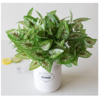 1 Cây lá giả lá nhân tạo Trang trí nhà - lá môn đốm trắng