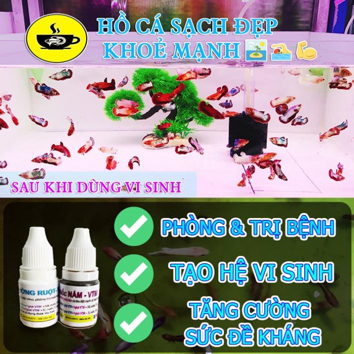 Rong Thủy Sinh - Dễ sống và phát triển nhanh