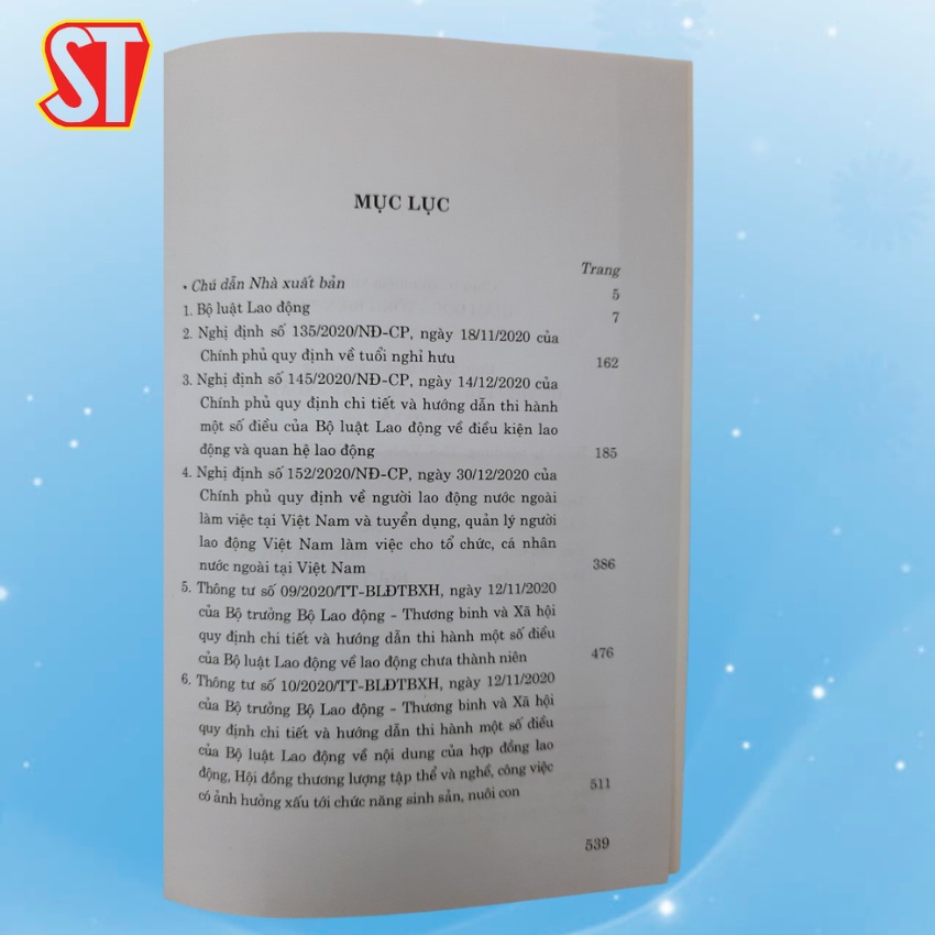 [Sách] Bộ luật lao động năm 2019 và văn bản hướng dẫn thi hành | BigBuy360 - bigbuy360.vn