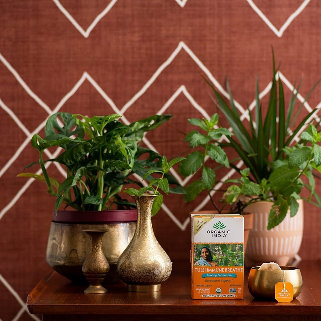Trà Tulsi Ấn Độ thảo mộc hữu cơ tăng cường sức khỏe hệ hô hấp và giảm căng thẳng.