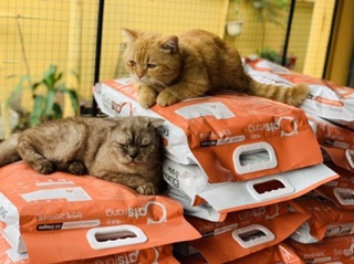 Thức ăn mèo Catsrang túi 5kg