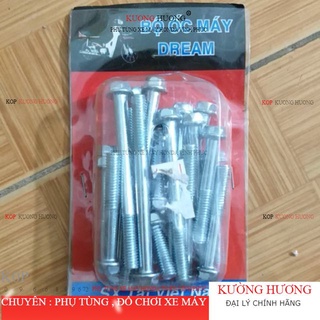 Ốc gắn lốc máy xe DREAM WAVE (giá 1 bộ 20 con) (-7%)